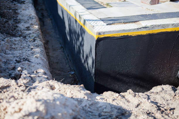 Professional Wet Basement Repair technician working in Mascot, TN
