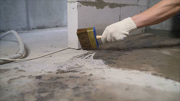 24/7 Emergency Wet Basement Repair experts in Mascot, TN